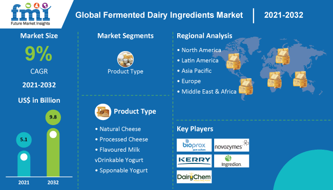Fermented Dairy Ingredients Market