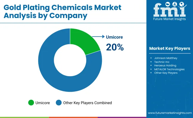 Gold Plating Chemicals Market By Company