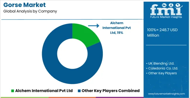 Gorse Market Analysis By Company