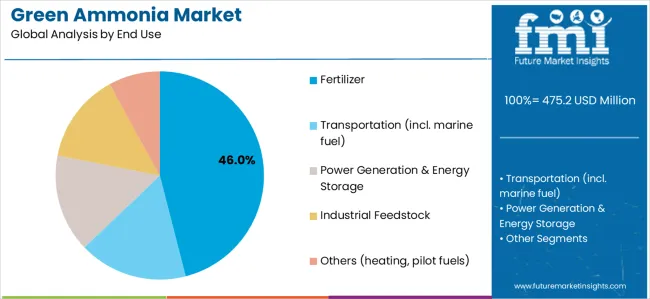 Green Ammonia Market Analysis By End Use
