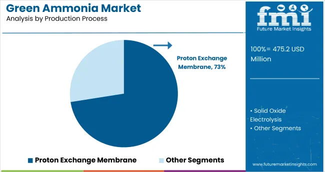 Green Ammonia Market By Production Process