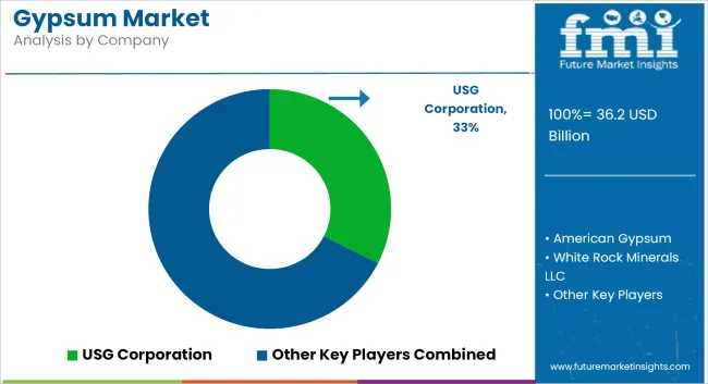 Gypsum Market Analysis By Company