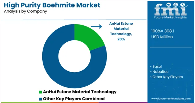 High Purity Boehmite Market Analysis By Company