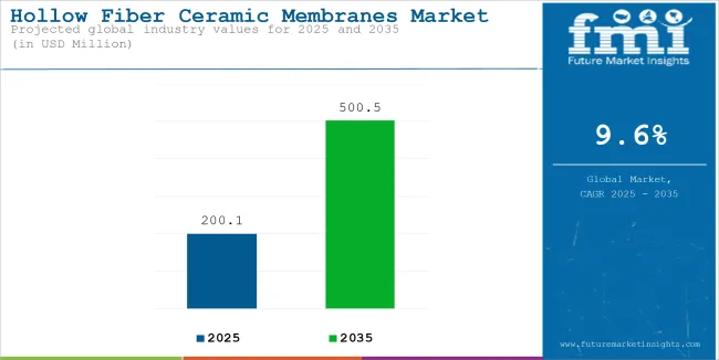 Hollow Fiber Ceramic Membranes Market Industry Value Analysis