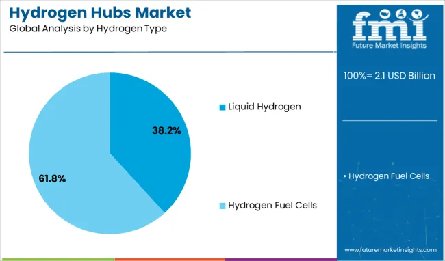 Hydrogen Hubs Market Analysis By Hydrogen Type