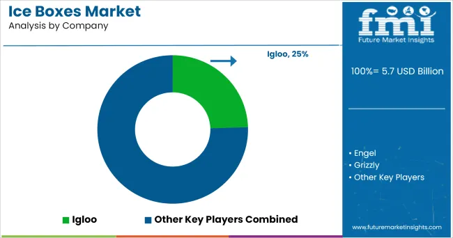 Ice Boxes Market Analysis By Company