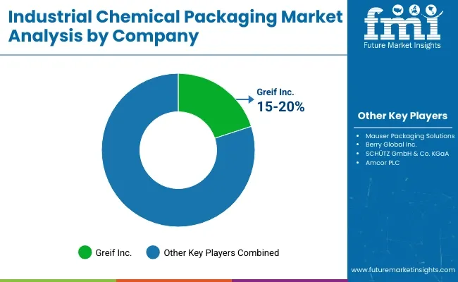 Industrial Chemical Packaging Market Analysis By Company