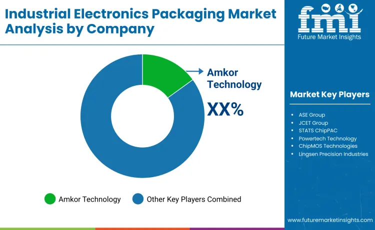 Industrial Electronics Packaging Market By Company