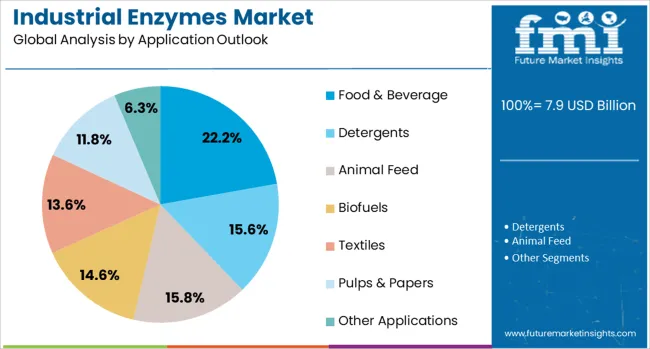 Industrial Enzymes Market Analysis By Application Outlook Industrial Enzymes Market Analysis By Application Outlook