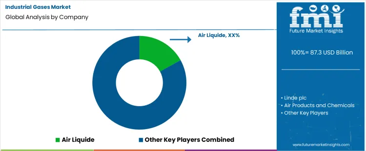 Industrial Gases Market Analysis By Company