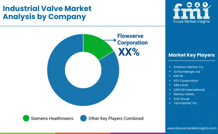 Industrial Valve Market By Company