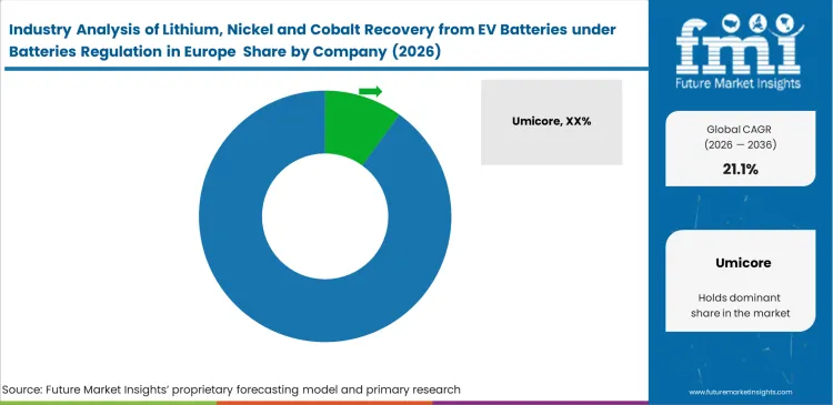 Industry Analysis Of Lithium, Nickel And Cobalt Recovery From Ev Batteries Under Batteries Regulation In Europe Analysis By Company Industry Analysis Of Lithium, Nickel And Cobalt Recovery From Ev Batteries Under Batteries Regulation In Europe Analysis By Company