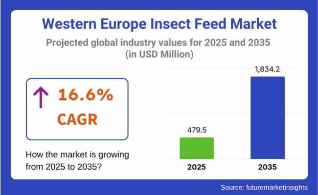 Insect Feed Industry Analysis In Western Europe