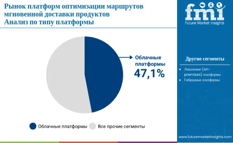 Instant Grocery Delivery Route Optimization Platforms Market By Type Ru