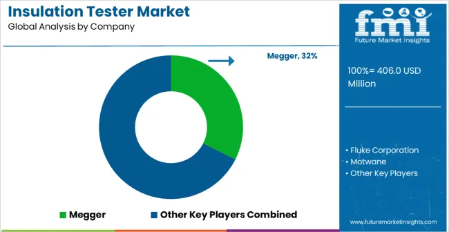 Insulation Tester Market Analysis By Company