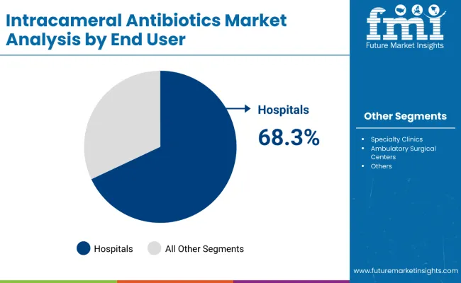 Intracameral Antibiotics Market By End User