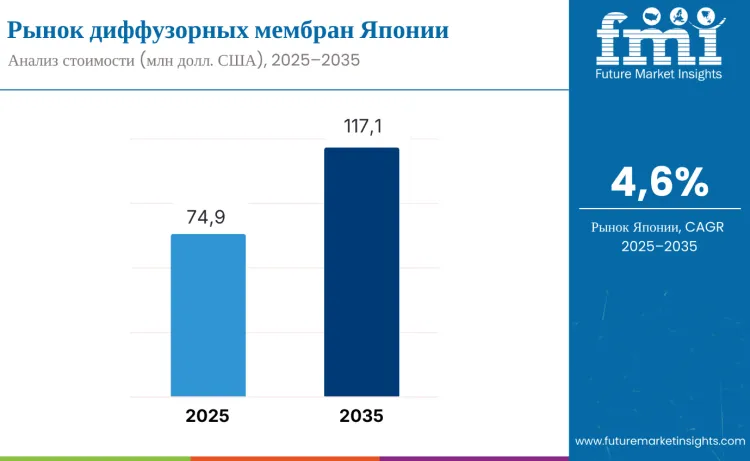 Japan Diffuser Membrane Market Ru