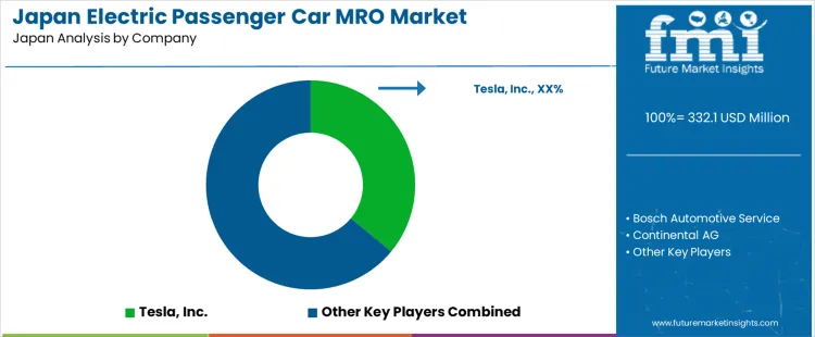 Japan Electric Passenger Car Mro Market Analysis By Company