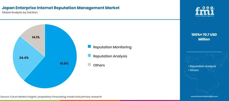 Japan Enterprise Internet Reputation Management Market Analysis By Solution