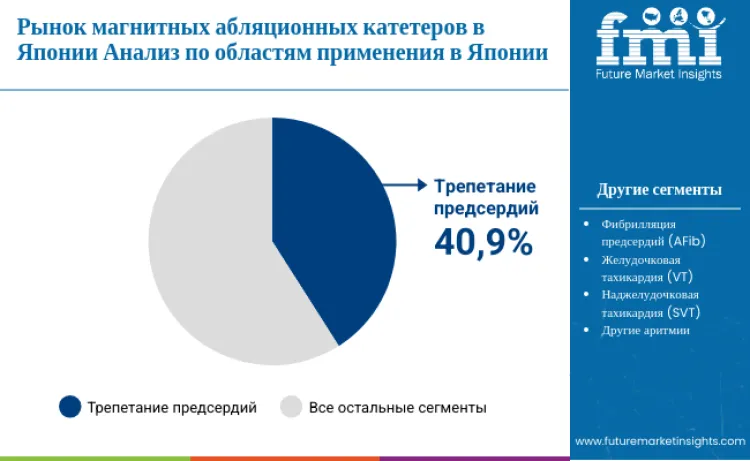 Japan Magnetic Ablation Catheter Market By Application Ru