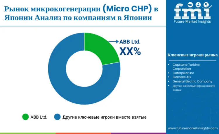 Japan Micro Chp Market By Company Ru