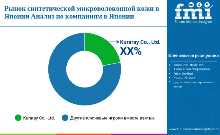 Japan Microfiber Synthetic Leather Market By Company Ru