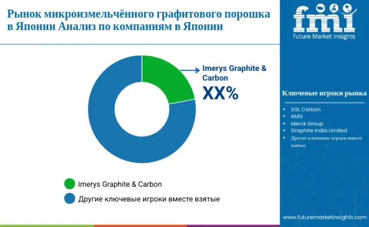 Japan Microfined Graphite Powder Market By Company Ru