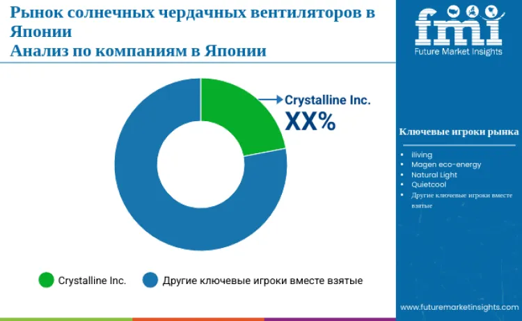 Japan Solar Attic Fans Market By Company