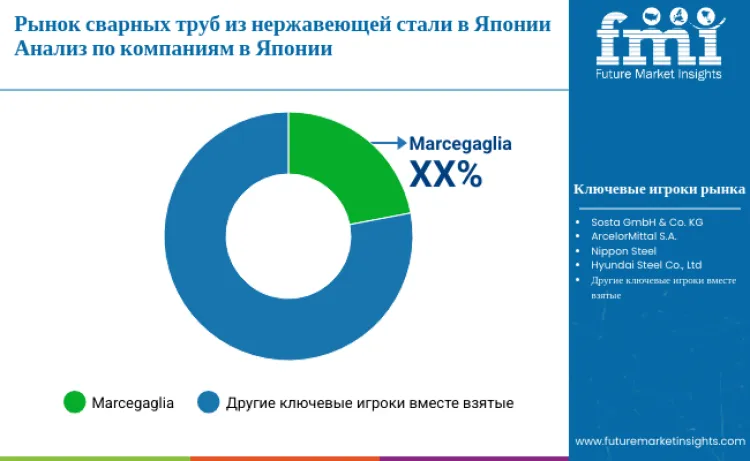 Japan Stainless Steel Welded Pipe Market By Company Ru