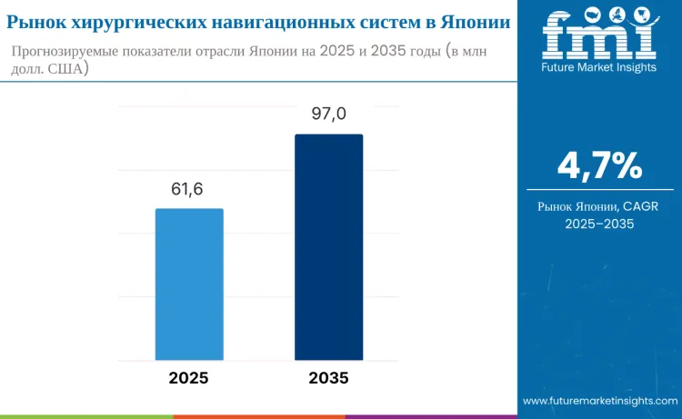 Japan Surgical Navigation System Market Ru