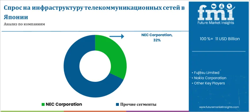 Japan Telecom Network Infrastructure Market By Company Ru