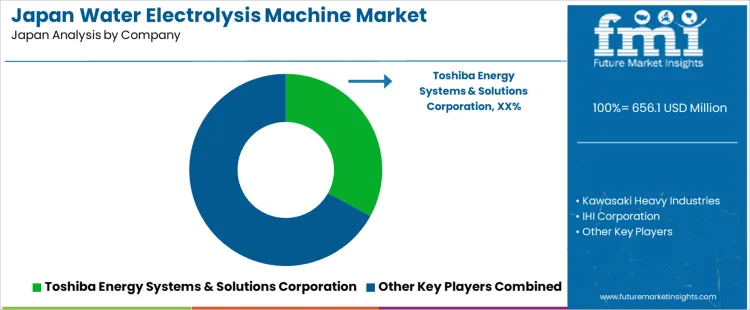 Japan Water Electrolysis Machine Market Analysis By Company Japan Water Electrolysis Machine Market Analysis By Company