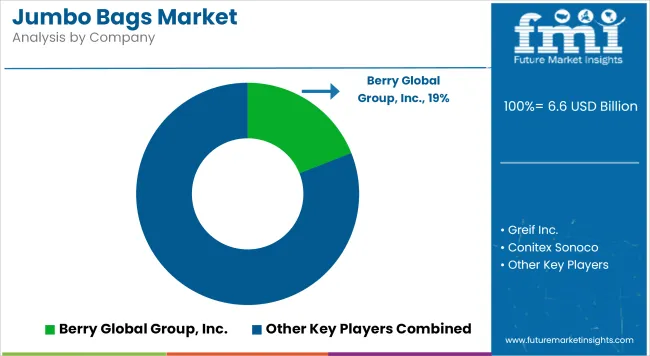 Jumbo Bags Market Analysis By Company