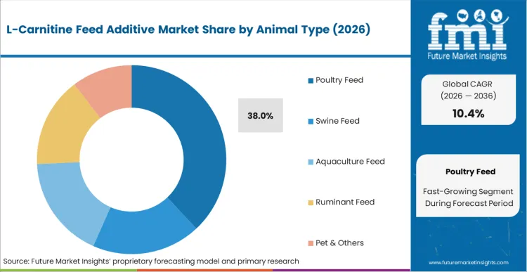L Carnitine Feed Additive Market Analysis By Animal Type