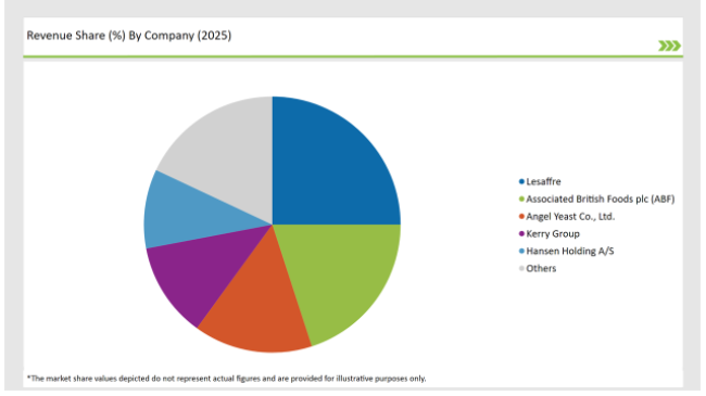 Latin America Yeast Extract Market Revenue Share By Company 2025