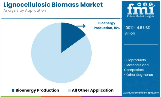 Lignocellulosic Biomass Market Analysis By Application