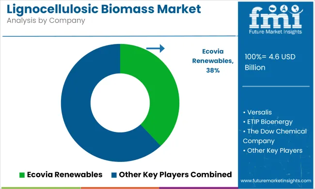 Lignocellulosic Biomass Market Analysis By Company