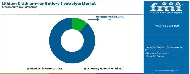 Lithium & Lithium Ion Battery Electrolyte Market Analysis By Company