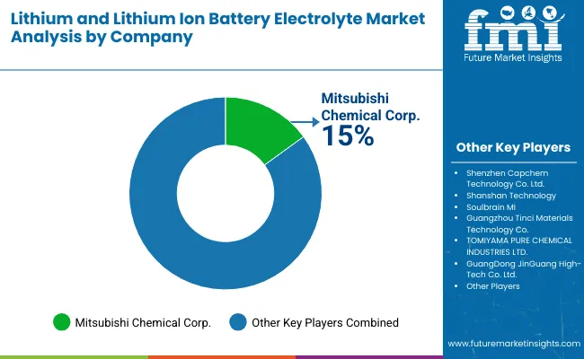 Lithium And Lithium Ion Battery Electrolytes Market By Company