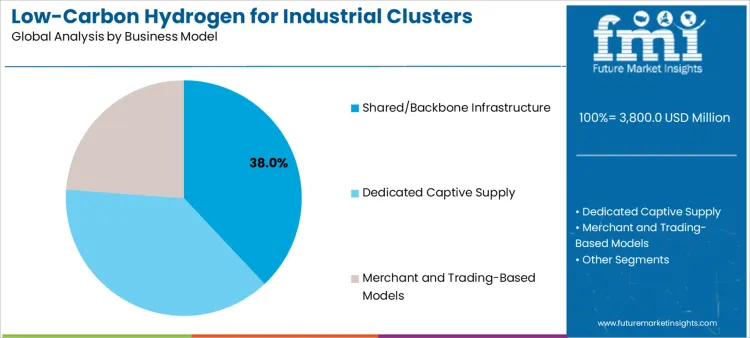 Low Carbon Hydrogen For Industrial Clusters Market Analysis By Business Model