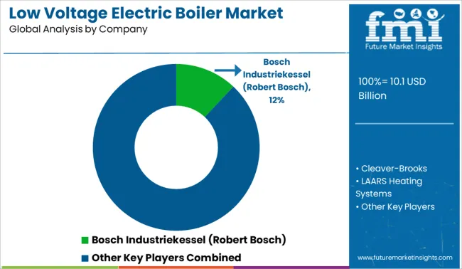 Low Voltage Electric Boiler Market Analysis By Company