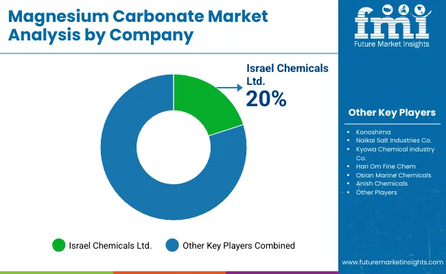 Magnesium Carbonate Market Analysis By Company