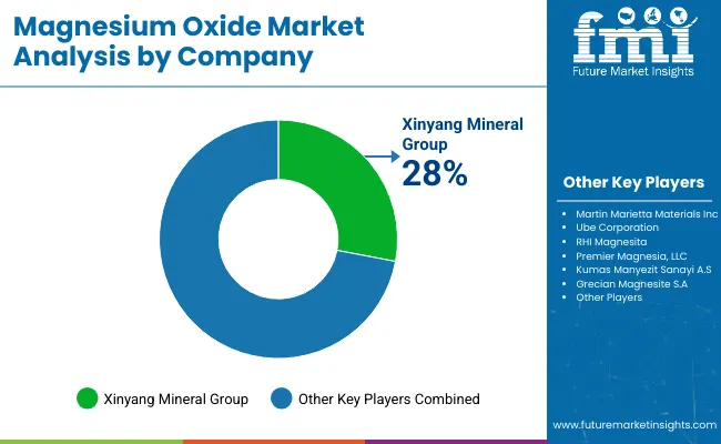 Magnesium Oxide Market Analysis By Company