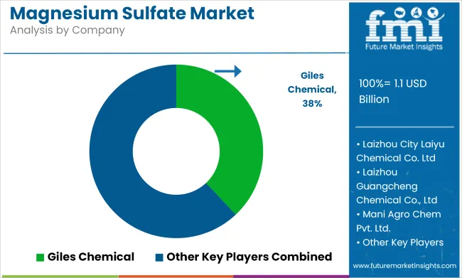 Magnesium Sulfate Market Analysis By Company