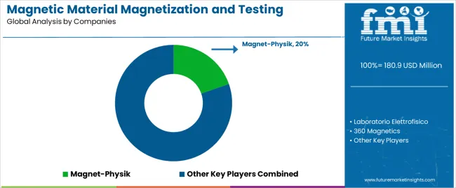 Magnetic Material Magnetization And Testing Equipment Market Analysis By Company Magnetic Material Magnetization And Testing Equipment Market Analysis By Company