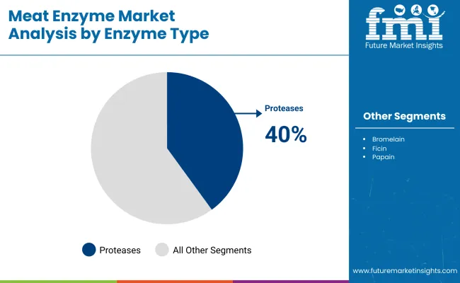 Meat Enzymes Market By Enzyme