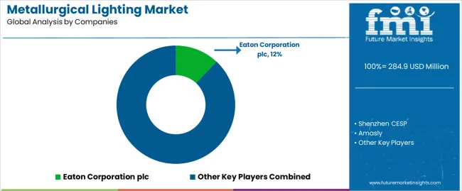 Metallurgical Lighting Market Analysis By Company Metallurgical Lighting Market Analysis By Company
