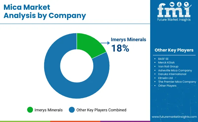 Mica Market Analysis By Company