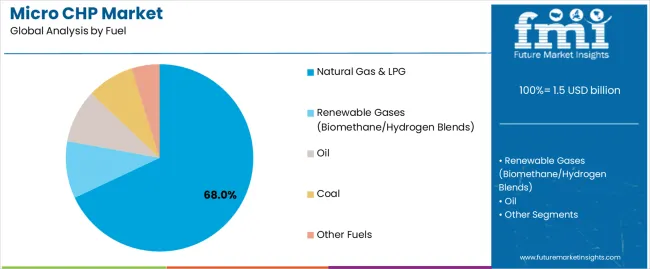 Micro Chp Market Analysis By Fuel