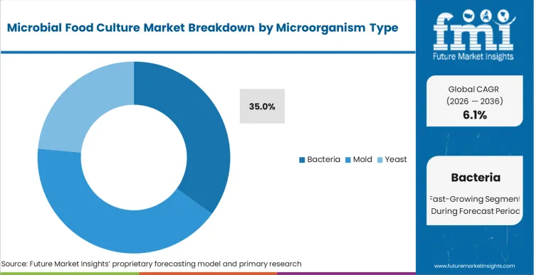 Microbial Food Culture Market Analysis By Microorganism Type
